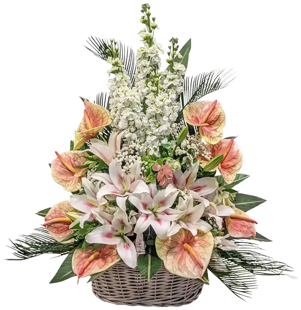Flower Basket For Send to Iran