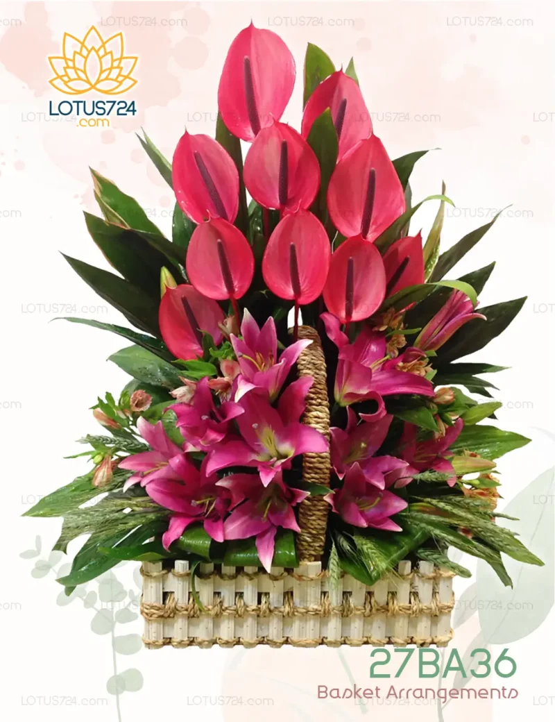Basket Arrangements Code: 27BA36