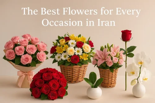 The best flowers for every occasion in Iran – Pay with PayPal | Lotus724
