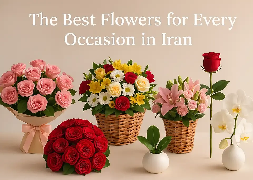 The best flowers for every occasion in Iran – Pay with PayPal | Lotus724