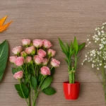 Meaning of flowers — Strelitzia, Spray Roses, Lucky Bamboo, Gypsophila | Lotus724